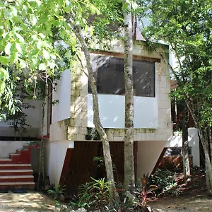 casa-del-arbol-at-villa-duendes.allrivieramayahotels.com/